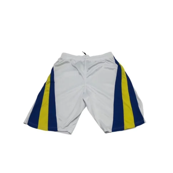 SHORT ALTERNATIVO 2024